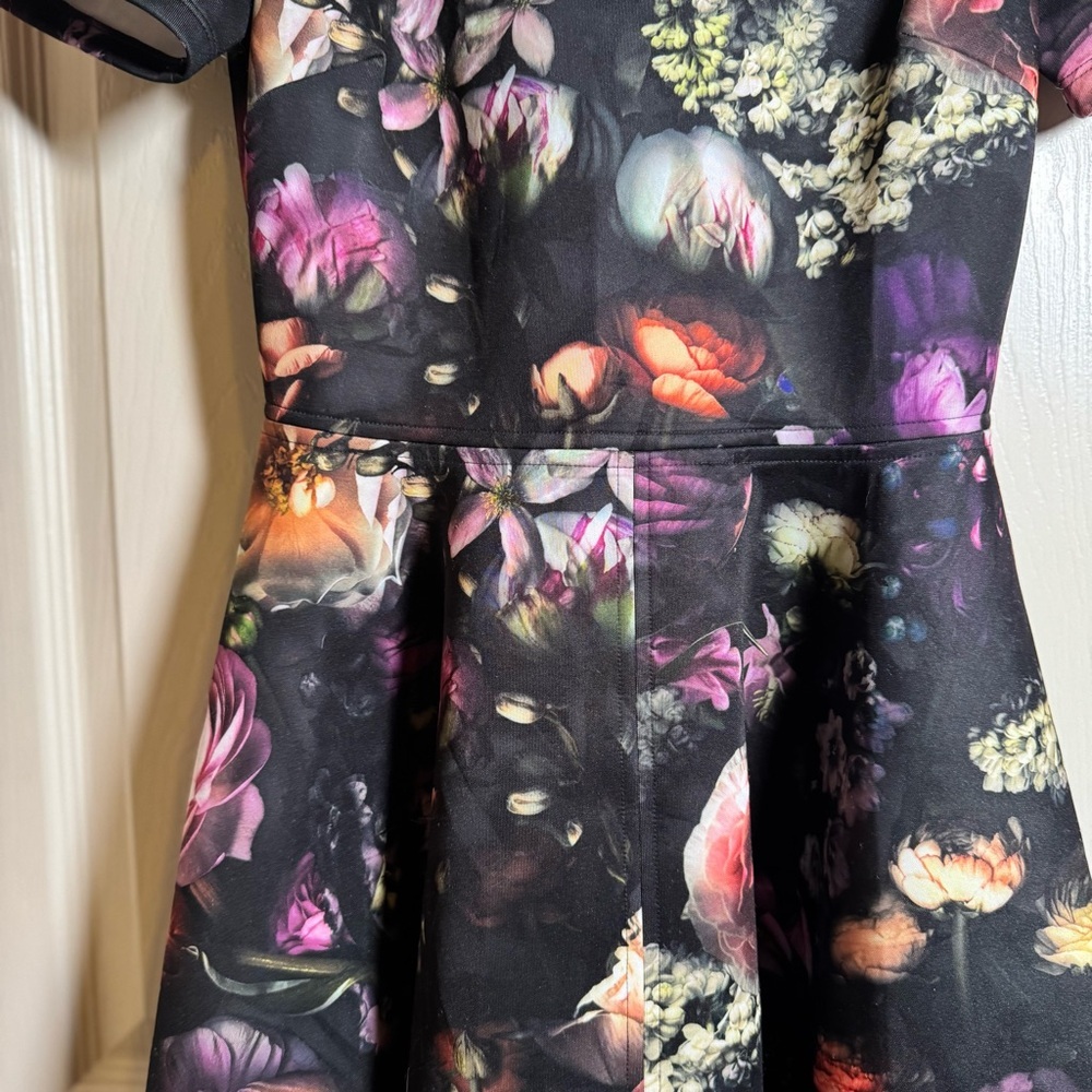 Ted Baker Tamary Shadow Floral Skater Dress Size 1= US 4 - Picture 5 of 13